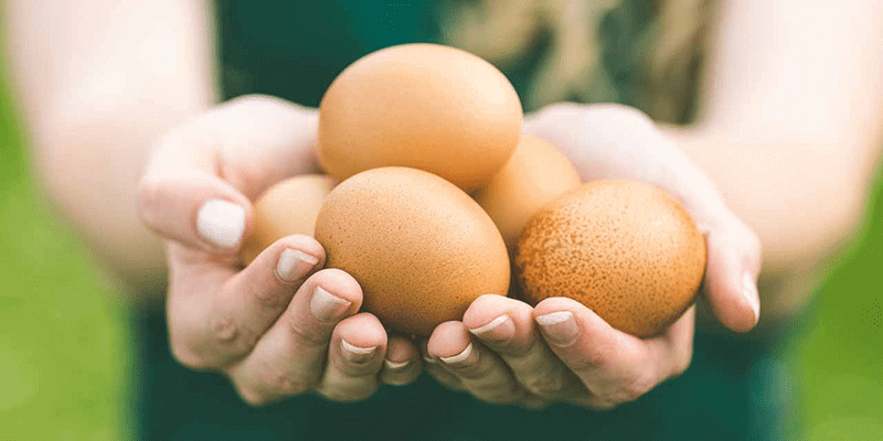 Trứng là thực phẩm giảm đau bụng kinh 